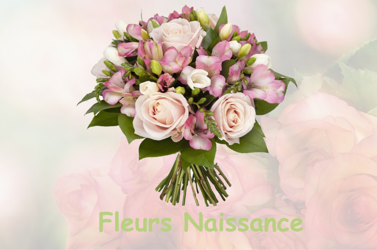 fleurs naissance CHILLY-LE-VIGNOBLE