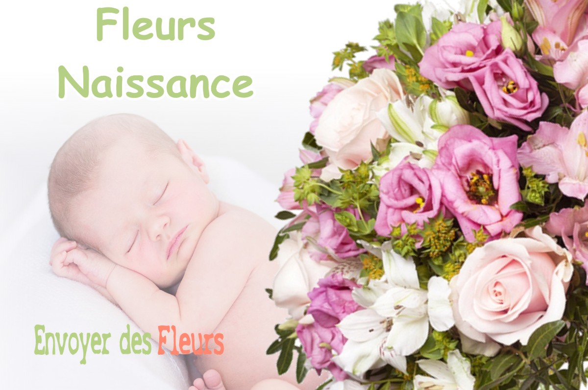 lIVRAISON FLEURS NAISSANCE à CHILLY-LE-VIGNOBLE